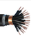 KVVP22 kabels van de kabel de Veelvoudige Controle, Elektrokabel en KVV-kabel leverancier