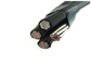 Al Leiderldpe/HDPE/XLPE isoleerden de Kabel van de de Dienstdaling van het Kabel1kv Lage Voltage leverancier