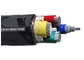 Het Certificaat600/1000v pvc Geïsoleerde Kabels 4 van KEMA TUV de Elektrokabel van Kernpvc leverancier