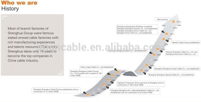Vertind koper CPE isolatie Rubberen mantel Kabel