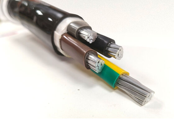 CHINA NYY-O 1x300mm2 Zuurstofvrij koper PVC geïsoleerde enkelkernstroomkabel voor distributie 0.6/1kV leverancier