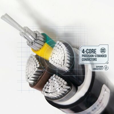 Waterdichte Vochtbestendige PVC Geïsoleerde Kabel 0.6/1kV 2 Aders 2x4mm2 Buiten Natte Ruimte leverancier