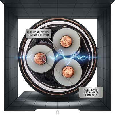 40 Jaar Levensduur XLPE Geïsoleerde Dubbele Stalen Tape Gepantserde Kabel 0.6/1kV leverancier