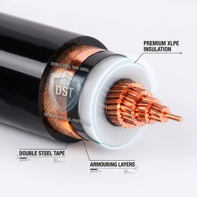 40 Jaar Levensduur XLPE Geïsoleerde Dubbele Stalen Tape Gepantserde Kabel 0.6/1kV leverancier